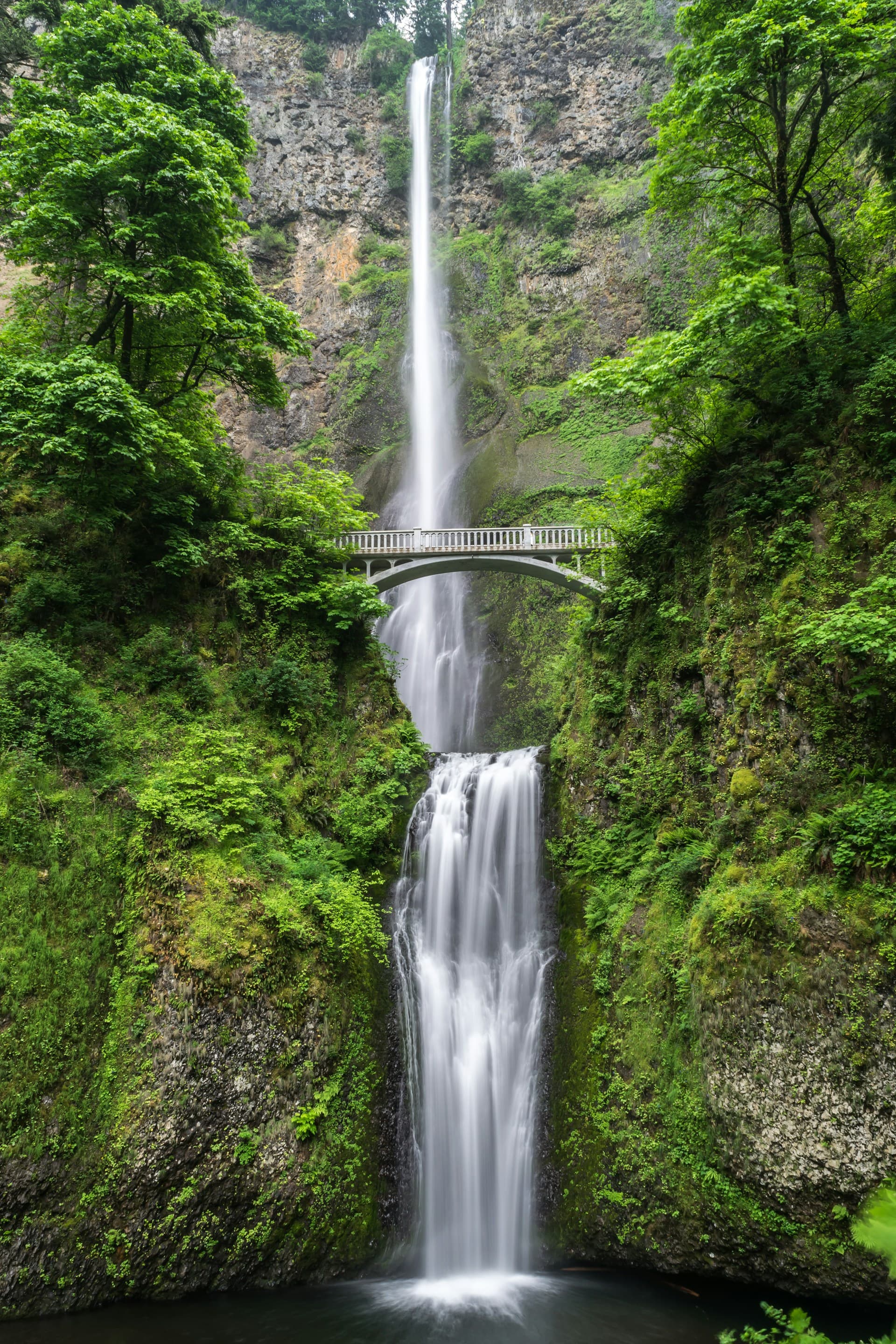 Nature's Beauty Landscape